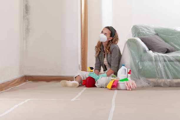 Reliable Mold Remediation contractor in Oak Ridge, FL by WQB Mold Removal